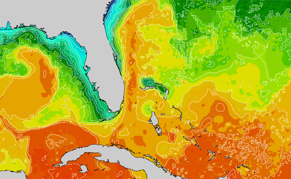 Bahamas Regional Sea Surface Temperature Chart