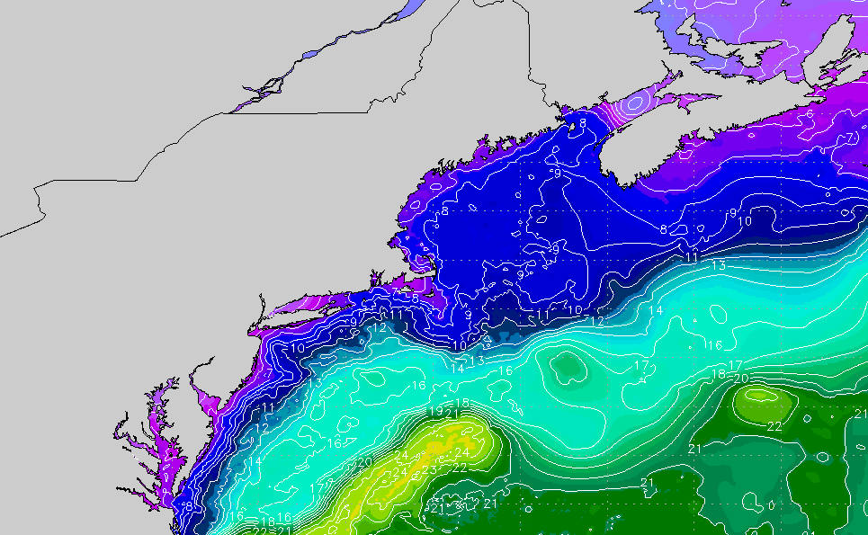 New England Regional Sea Surface Temperature Chart