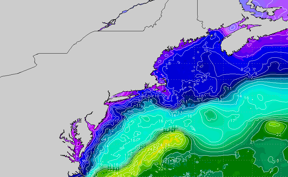 New England Regional Sea Surface Temperature Chart