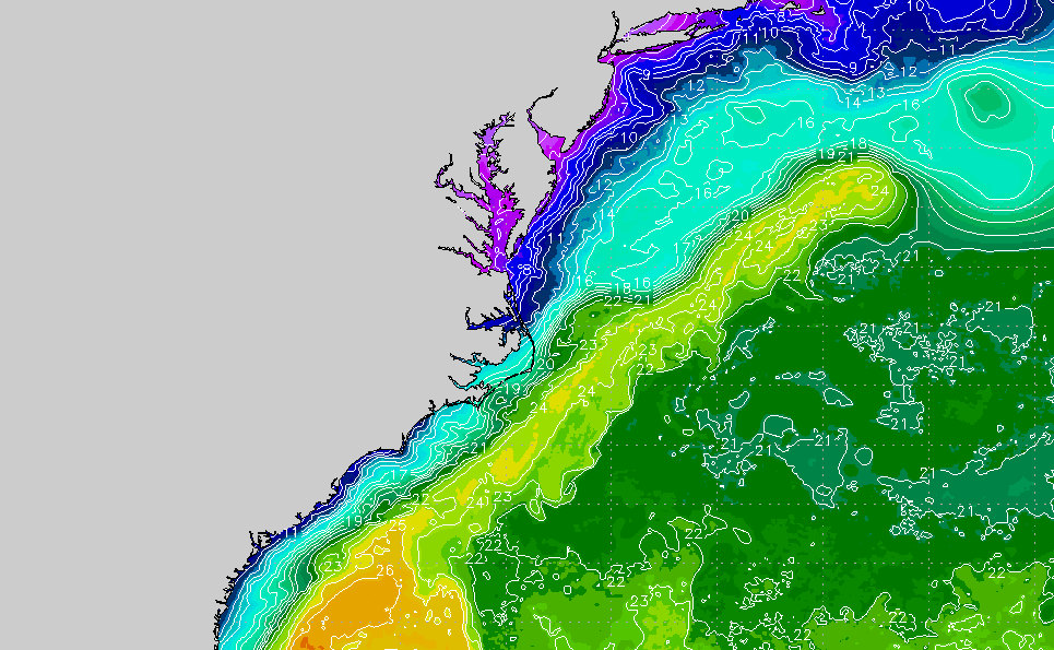 Virginia Outer Banks Regional Sea Surface Temperature Chart