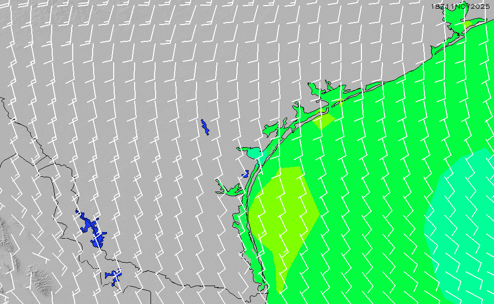 Central Texas Local GFS Wind Chart