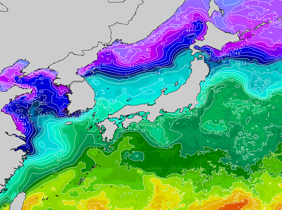 画像 海水面温度（Japan SST）