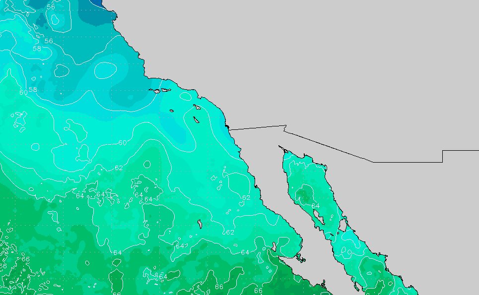 Sea Of Cortez Water Temperature Chart