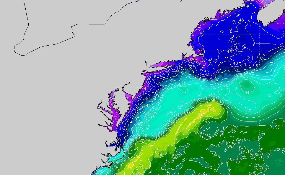 Sea Surface Temp Charts