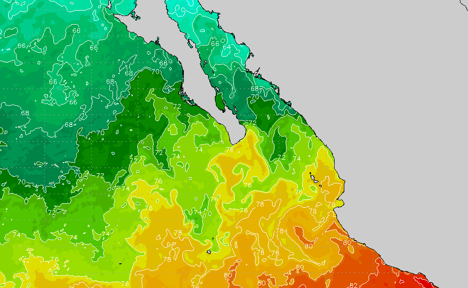 Sea Of Cortez Water Temperature Chart